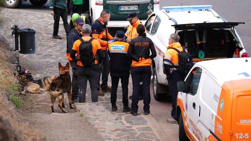 Search teams with dogs looking for Jay Slater (Image: PA)