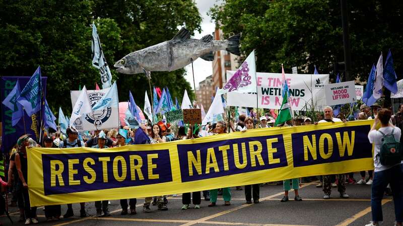 The London march was the largest ever gathering for nature and climate in the UK (Image: AFP via Getty Images)