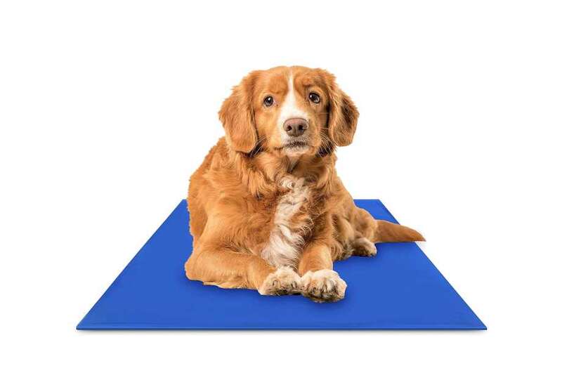 Others used the mat themselves to cool down