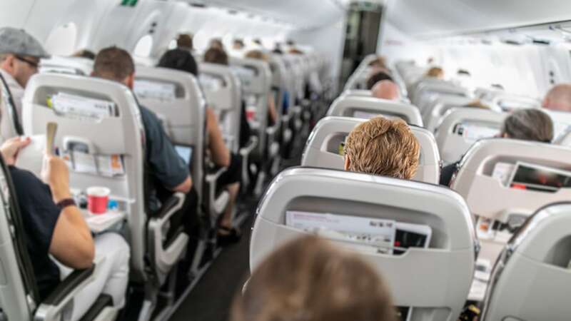 Plane passengers have been told certain fruits make it more comfortable to fly. (Image: Getty Images/iStockphoto)