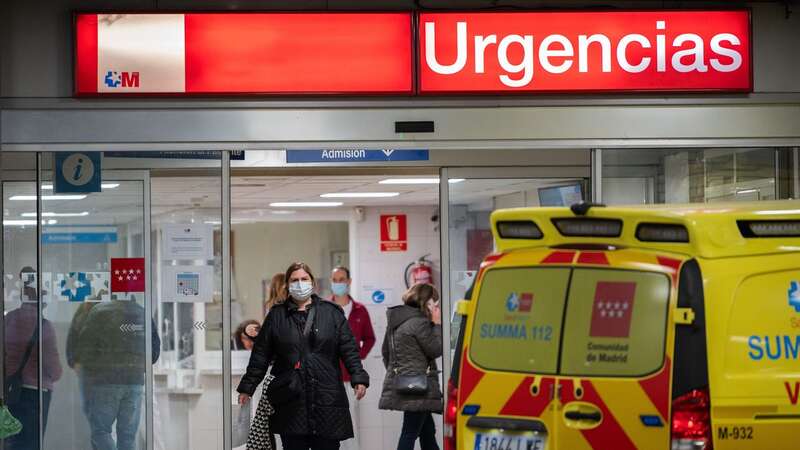 The Spanish health authorities have incorporated monitoring of the diseases into a National Plan for Surveillance and Control of Vector-borne Diseases (Image: Getty)