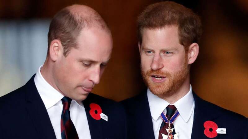 Prince William and Prince Harry have a strained relationship (Image: Getty Images)