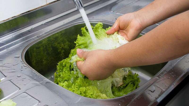 Washing lettuce is important (Image: AGB Photo Library/Universal Images Group via Getty Images)