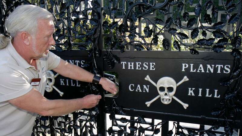 The Poison Garden in Alnwick is the deadliest garden in the UK (Image: Jeffrey Greenberg/Universal Images Group via Getty Images)