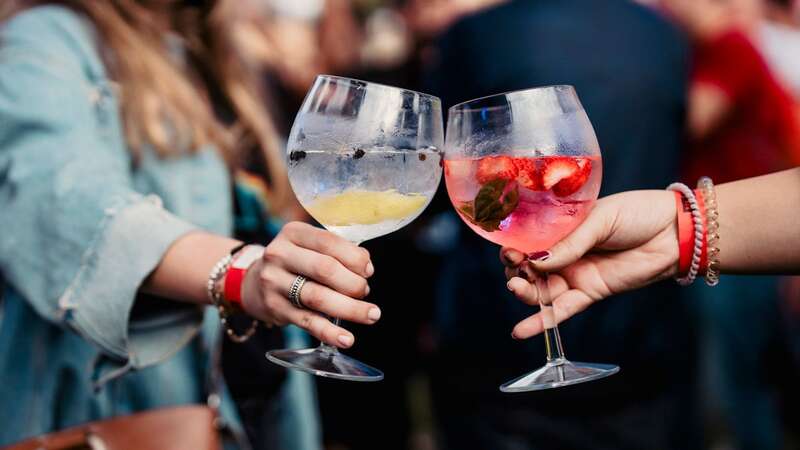 Research has found gin and vodka are the best alcoholic drinks to combat hay fever symptoms (Image: Getty)