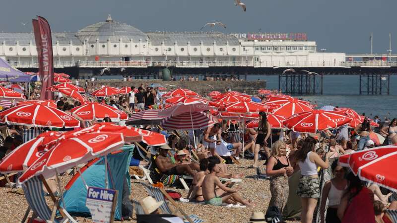 Sunbathers are pictured today on Brighton beach (Image: Adam Gerrard / Daily Mirror)