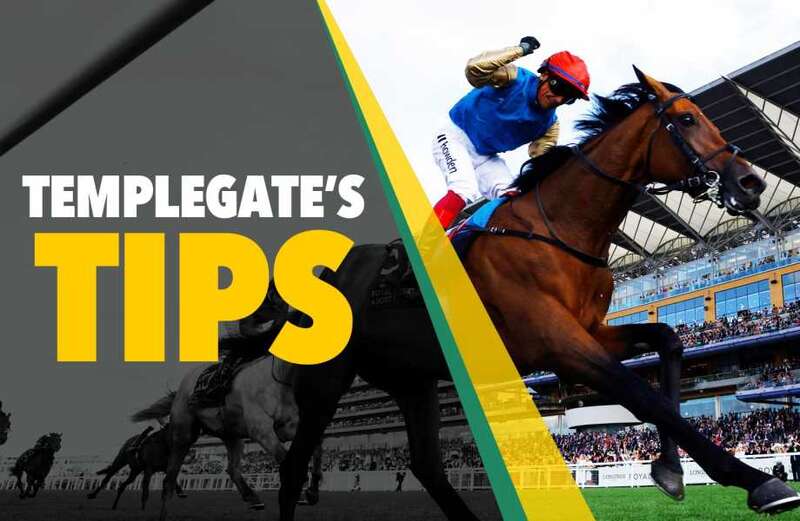 Templegate's NAP will strike racing up with the pace at Newmarket