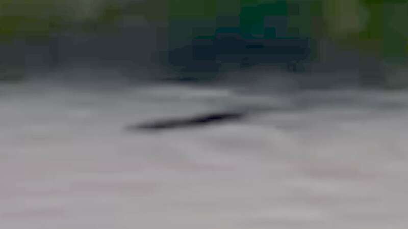 Nessie hunter captures film of mysterious hump breaking water surface