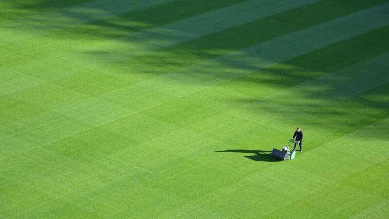 Cut your lawn like an expert this summer (Image: Unsplash)