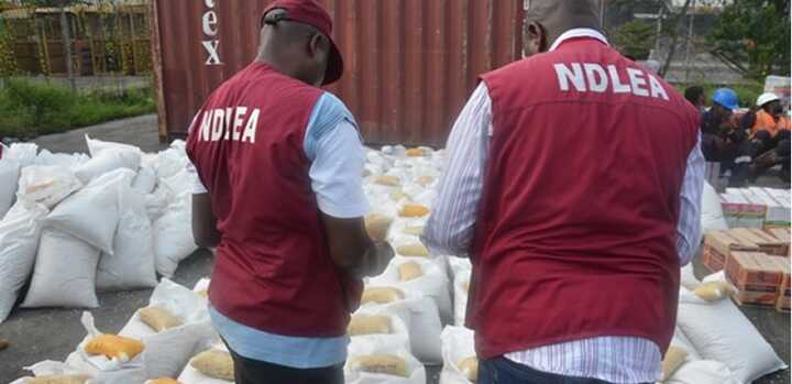 Nigerian authorities thwart international drug trafficking attempts