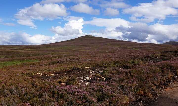 The estate agency selling Far Ralia said buyers could use the land to sell carbon credits to corporations. Photograph: Murdo MacLeod/The Guardian