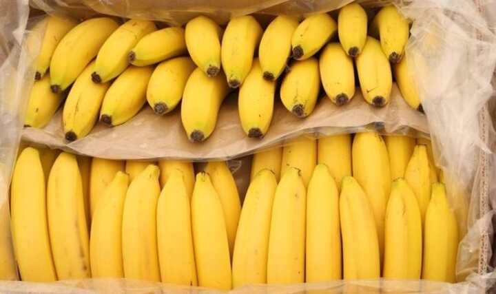 UK: Ringleader of cocaine smuggling gang using bananas convicted