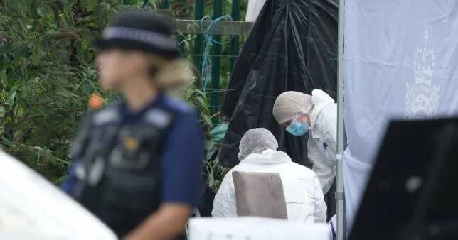 Forensic officers at the scene of the stabbing in Crawley (Picture: Sussex News)