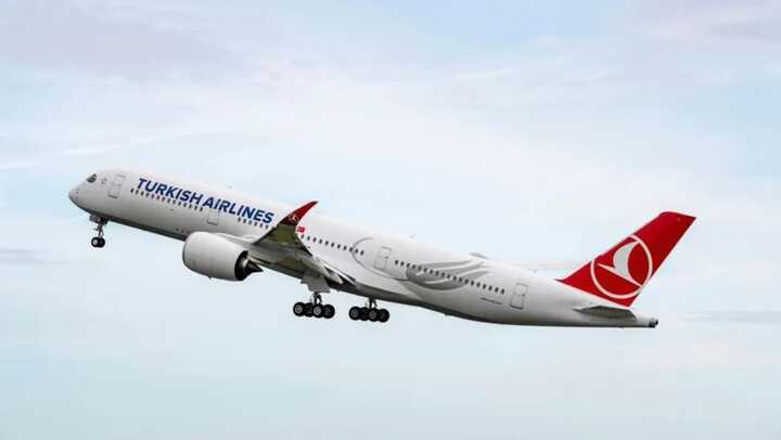 Turkish Airlines Boeing 777 chaos as turbulence throws bags across cabin with 7 injured