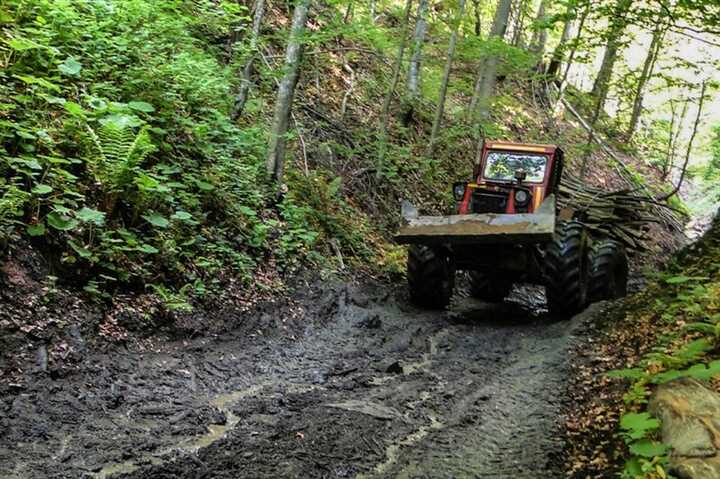 Romania’s logging industry continues to bypass the timber tracing system