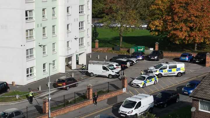 Baby born after mother dies in tower block fall