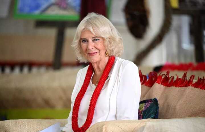 Queen Camilla has canceled her engagements after a health update from the Palace