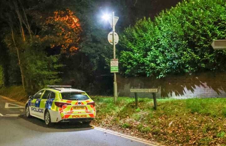 Child in Surrey dies after being hit by a falling tree branch