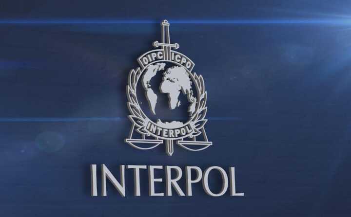 Interpol arrests over 1,000 suspects in Africa during cybercrime crackdown