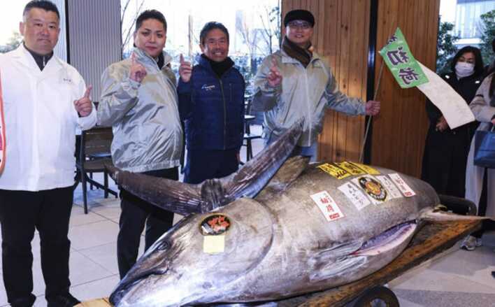 Luxury sushi: Onodera pays $1.3m for ’good fortune’ New Year tuna