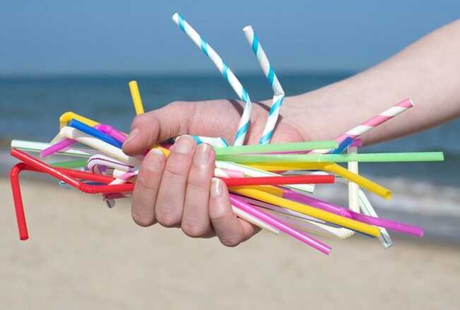 Trump vows to reinstate plastic straws, calls Biden’s paper push ‘ridiculous’