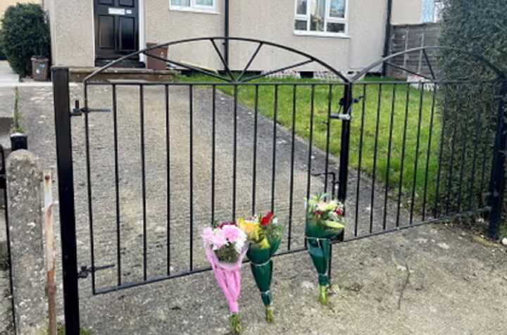 19-year-old woman fatally attacked in Bristol home by ’XL Bully’