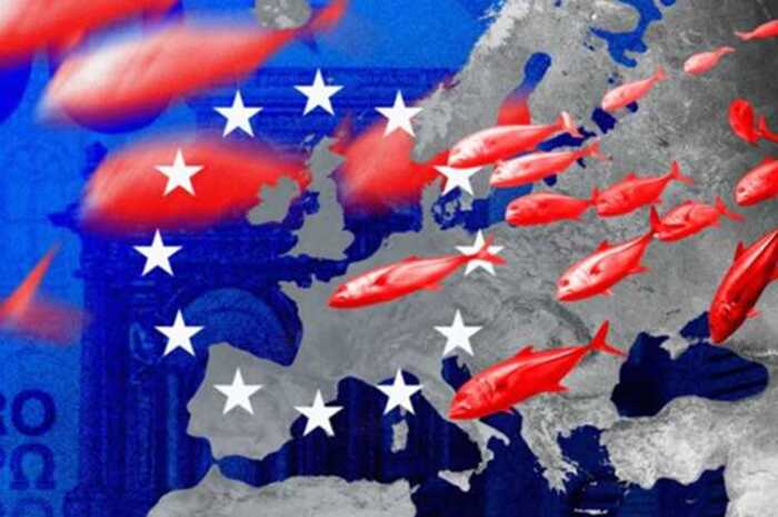 Sanctioned Russian politicians still profit from EU fish sales